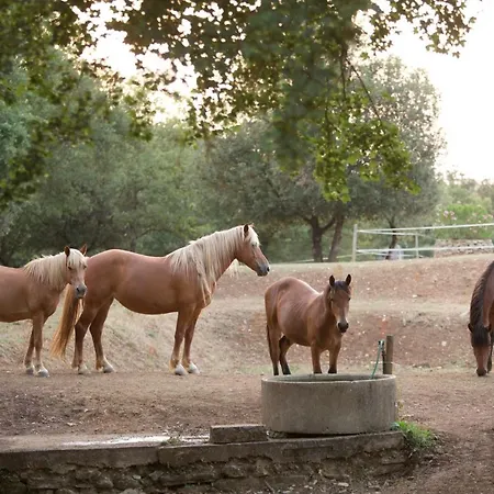 Podere Poggiarone Farm stay *